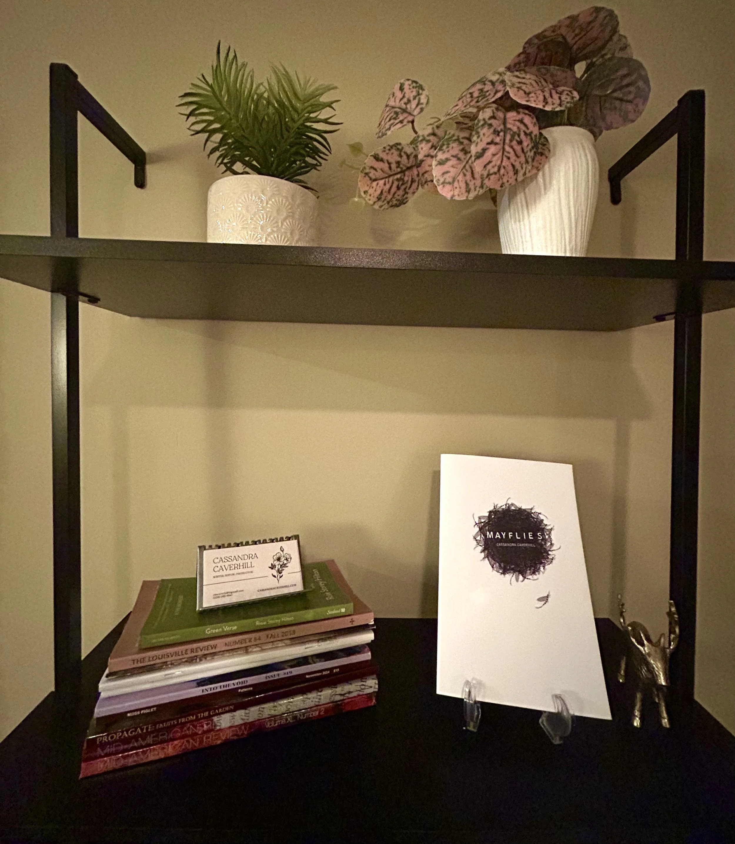 Display Shelves.jpeg