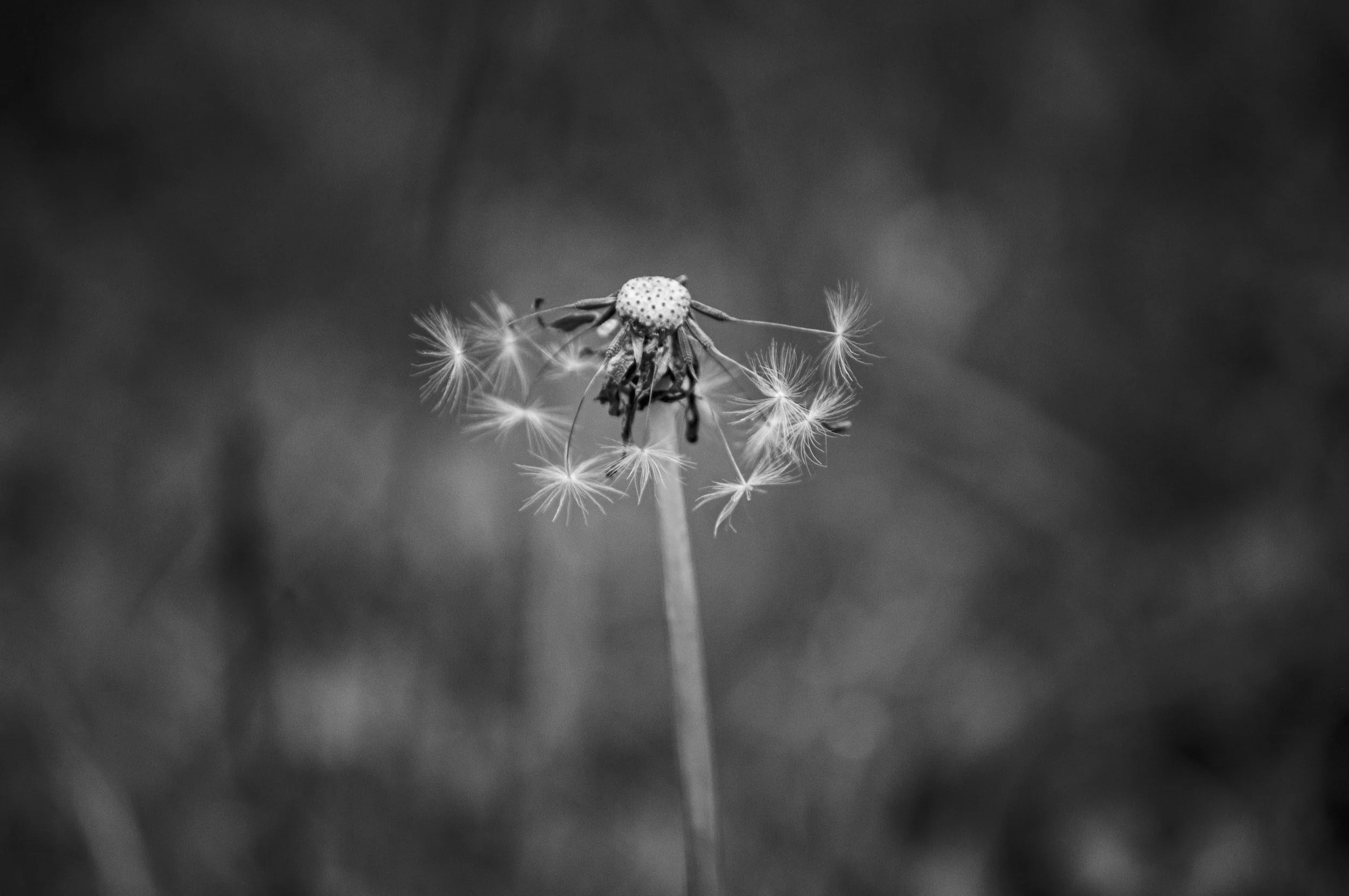 unsplash-image-pxSfDEnXI2s.jpg