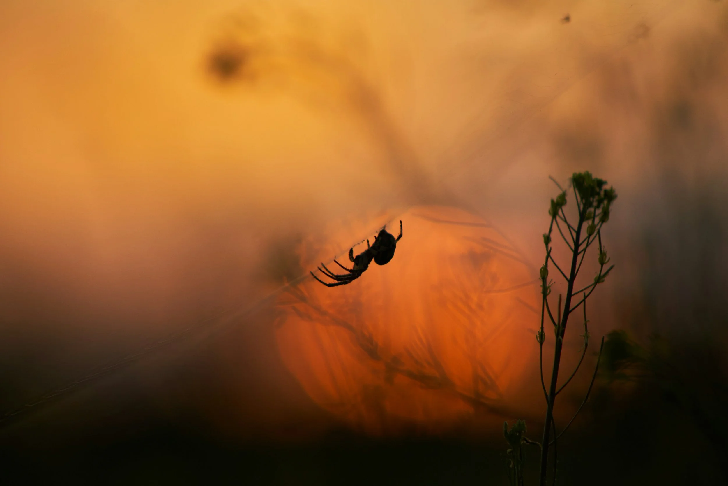 unsplash-image-UnPkBHcMfDU.jpg