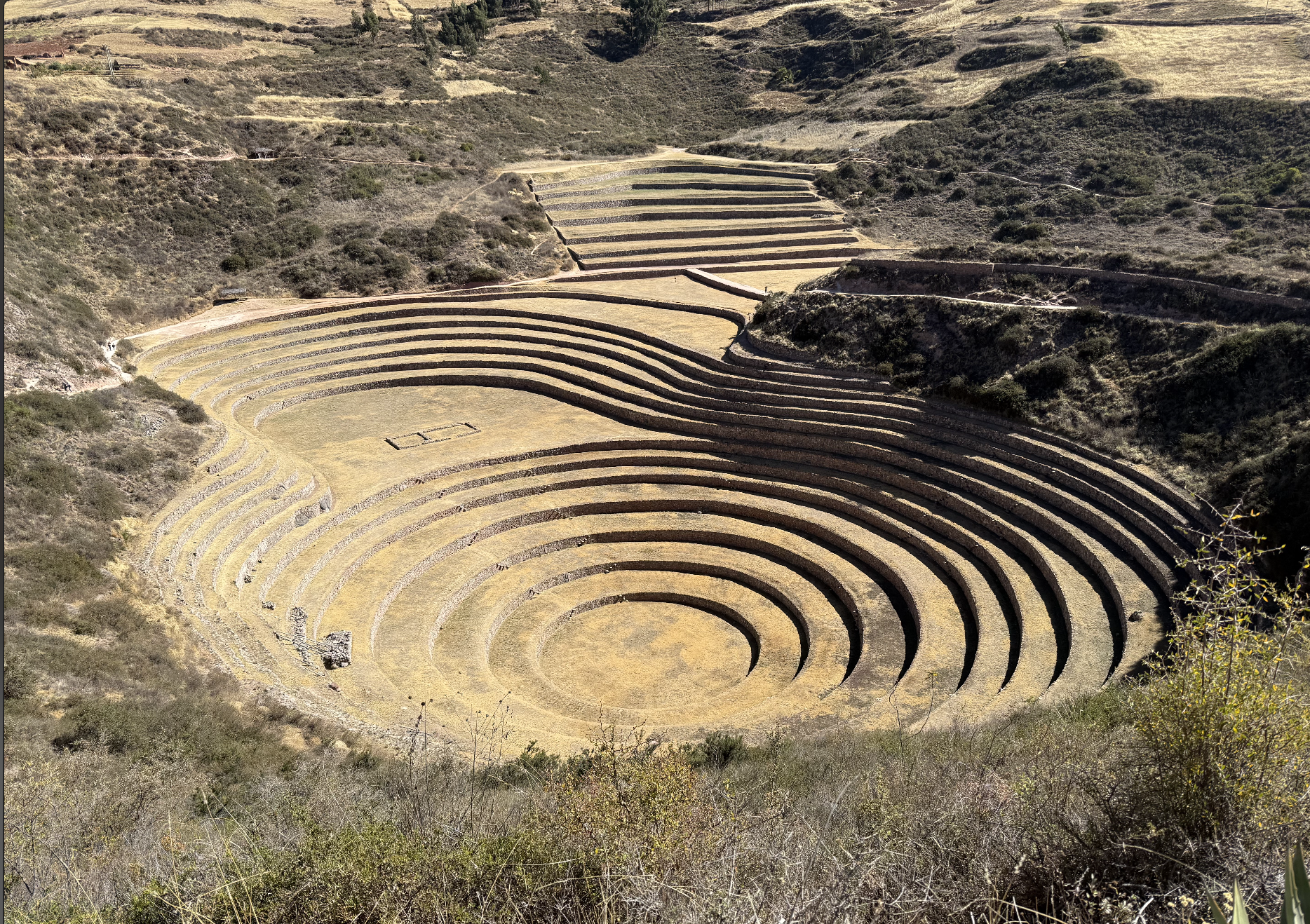 Screen Shot 2025-12-31 at 1.11.34 PM.png