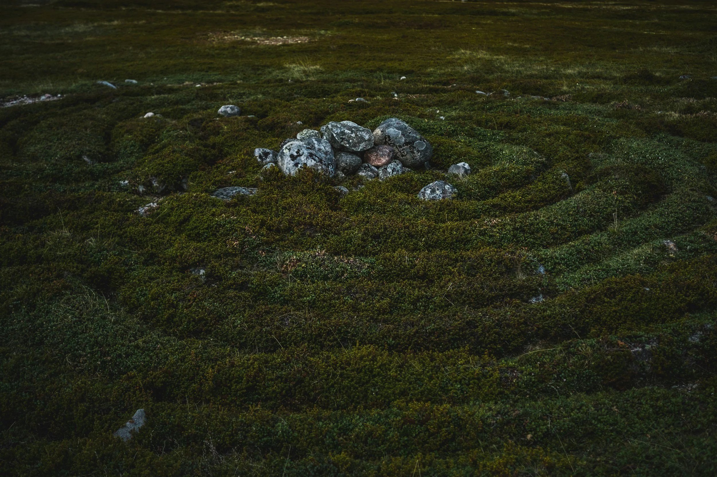 unsplash-image-JA-rGJKSMR4.jpg