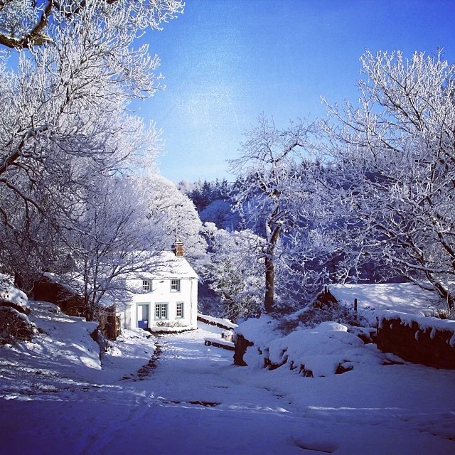 Picture postcard view of Force Mill