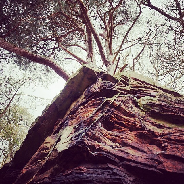 Beautiful sandstone on the bank of the River Eden
