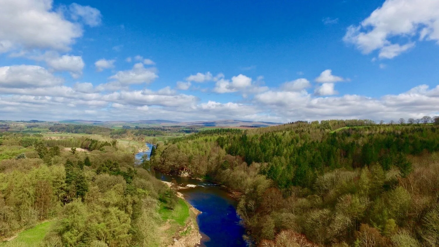 DJI_0020 2.jpg