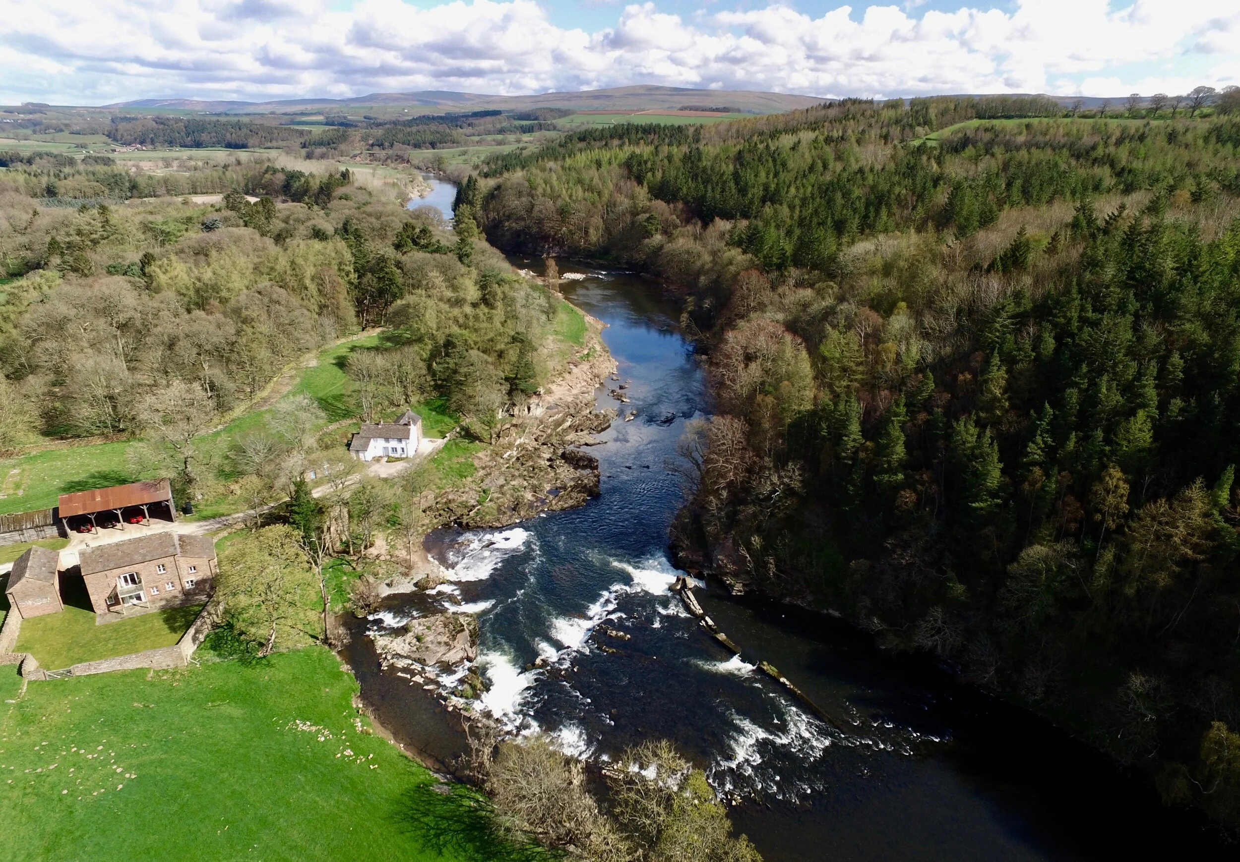 DJI_0201 2.jpg