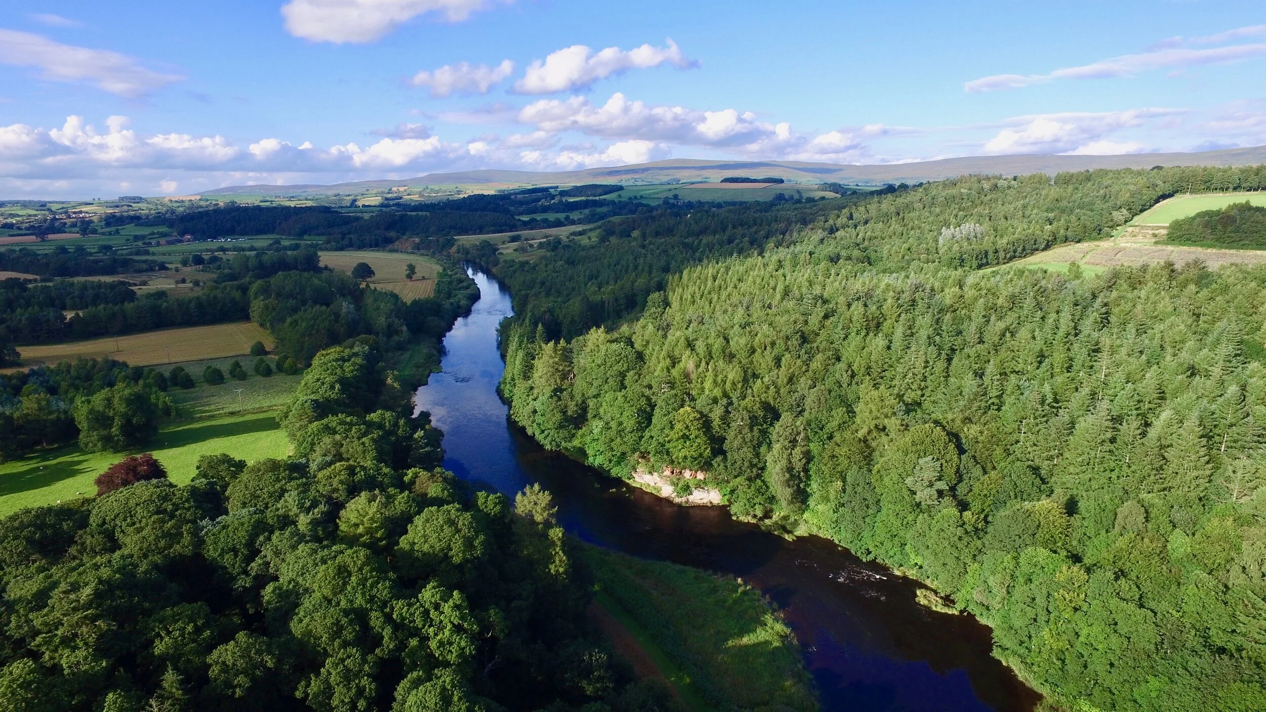 DJI_0042 2.jpg
