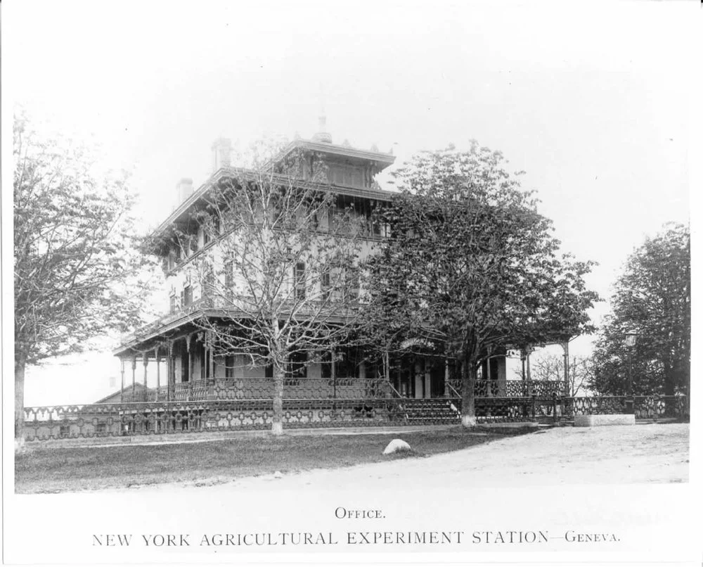 90NR01987_76.jpg