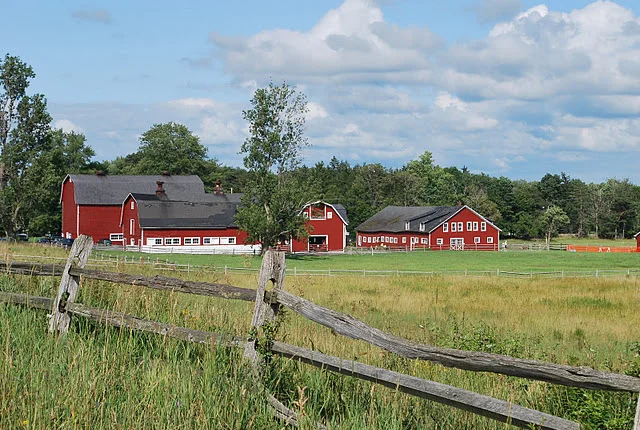 1 barns.jpg