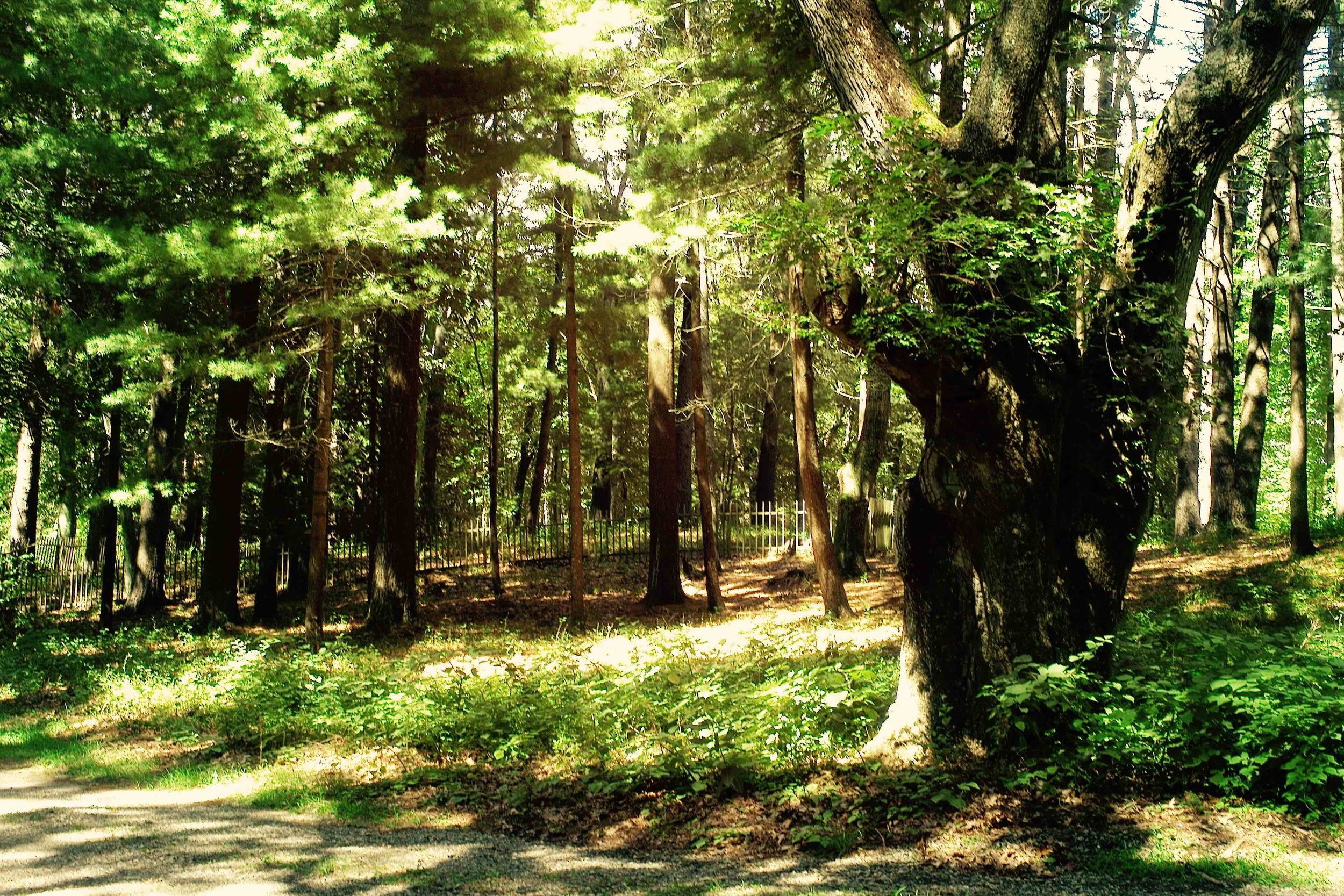 Sylvester Manor Burying Ground