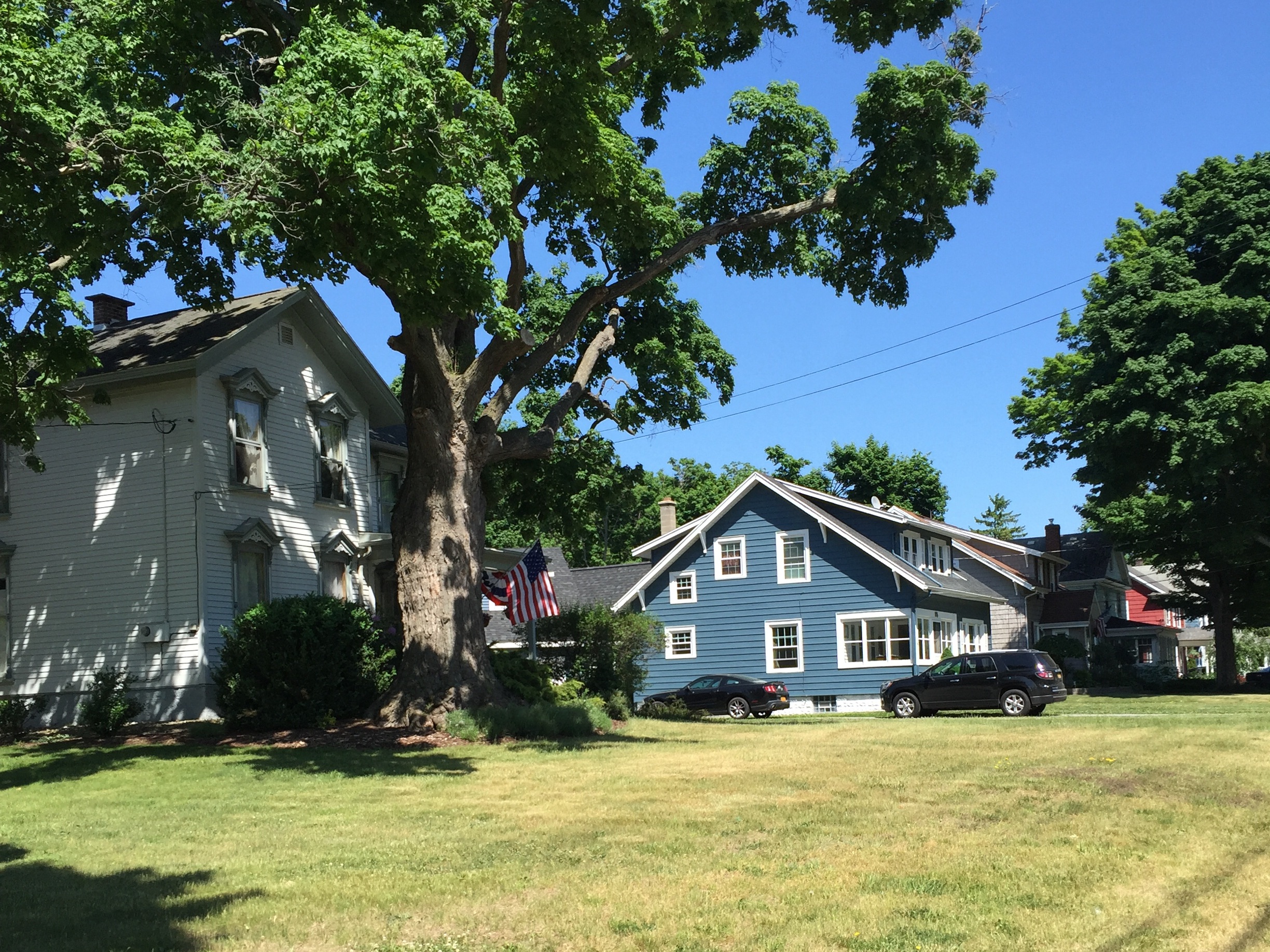 Village of Hamburg, West Side Neighborhood 