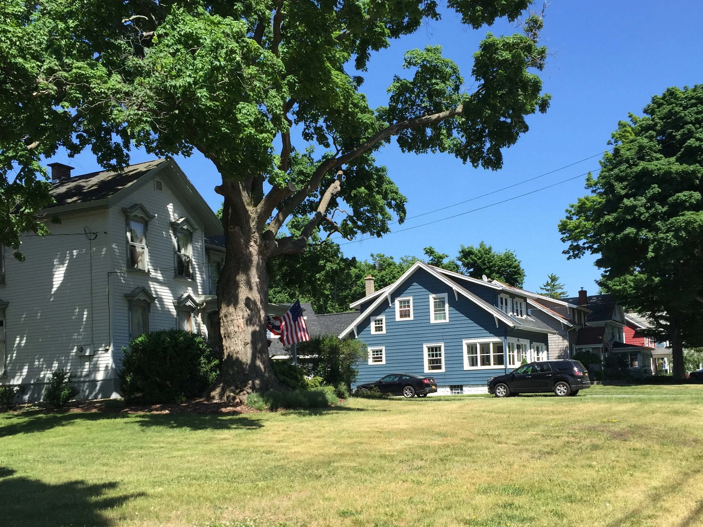 Village of Hamburg, West Side Neighborhood