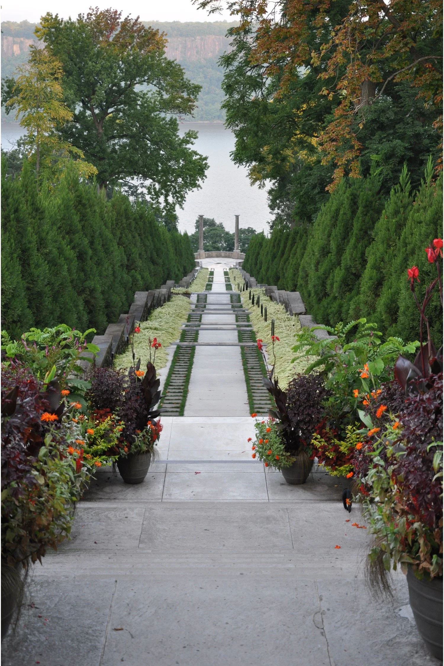 Vista after restoration. credit: Jessica Norman