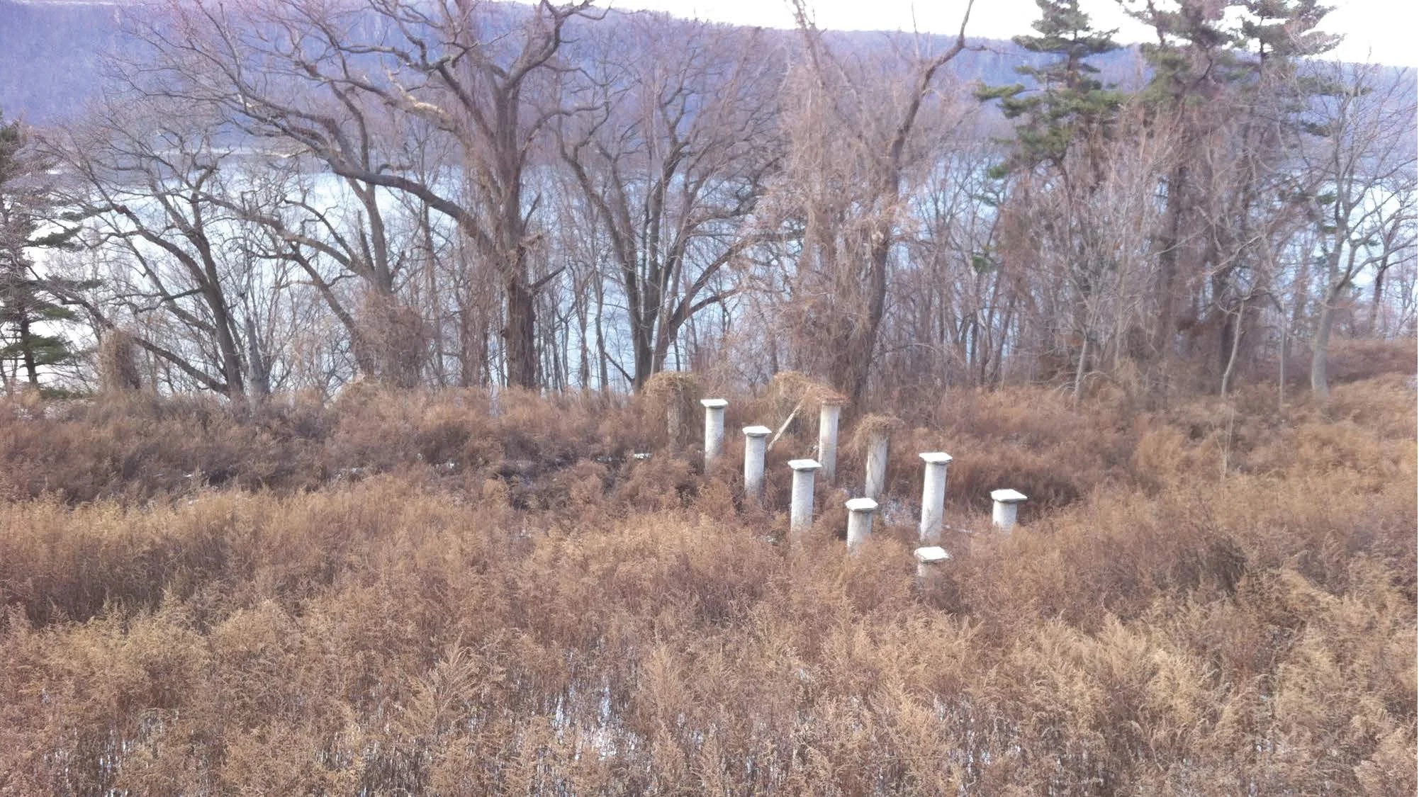 Vegetable Garden before restoration.