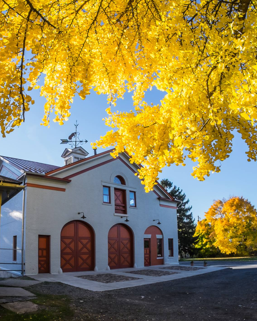Grants Workshop at Cayuga Museum of History and Art
