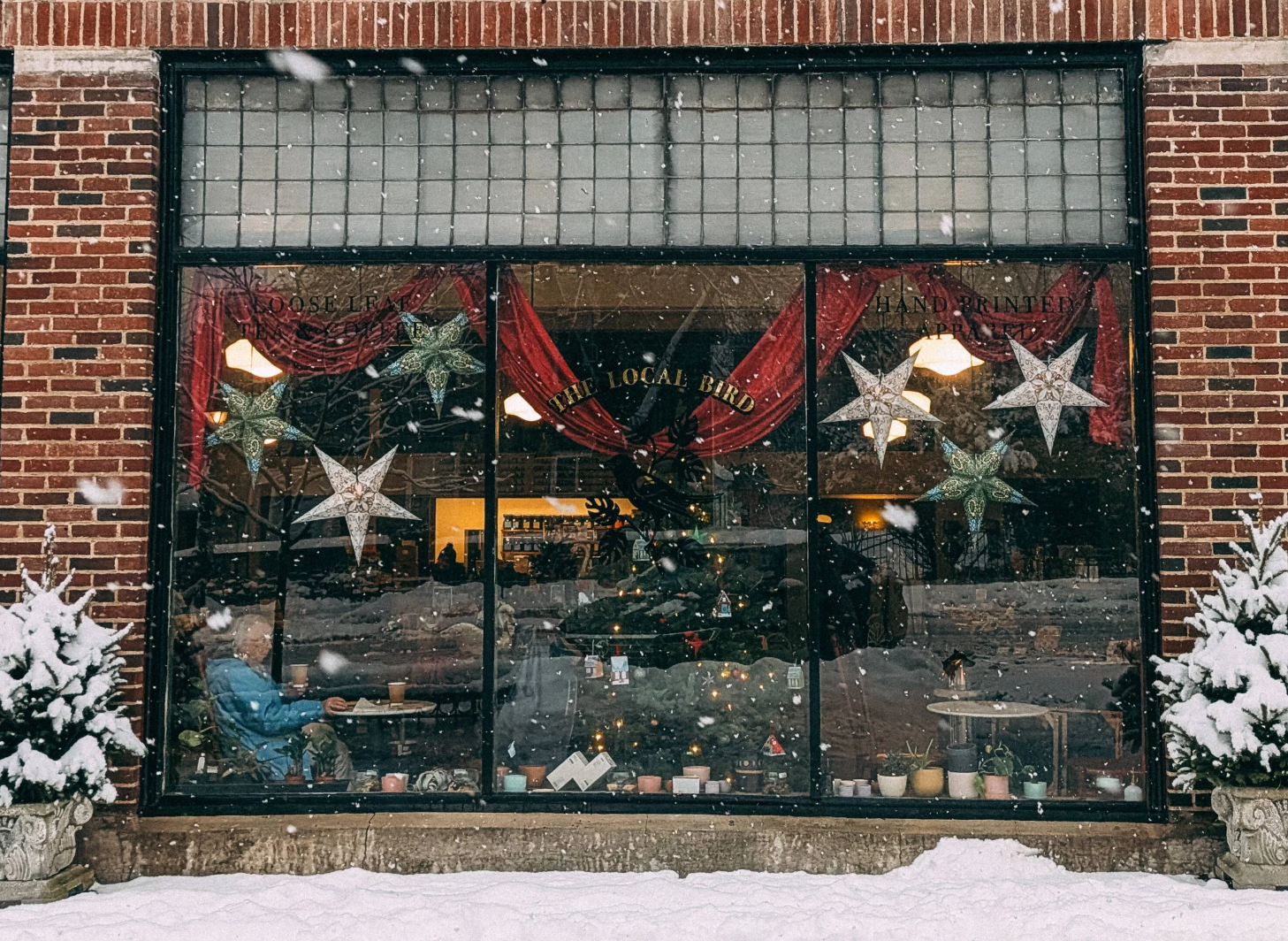 the local bird cooperstown.png