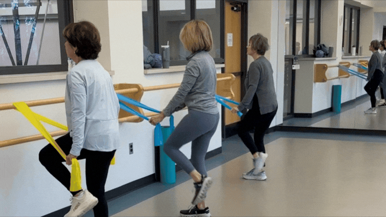 4 Week Posture Reset