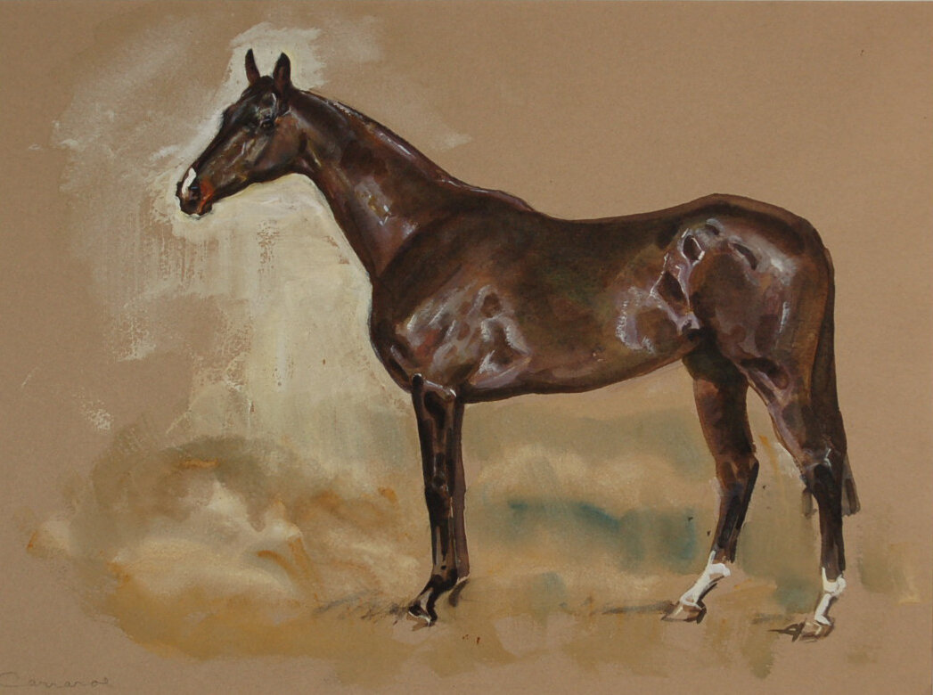 M Lyne #10 Dark Bay Horse Carraroe.jpg
