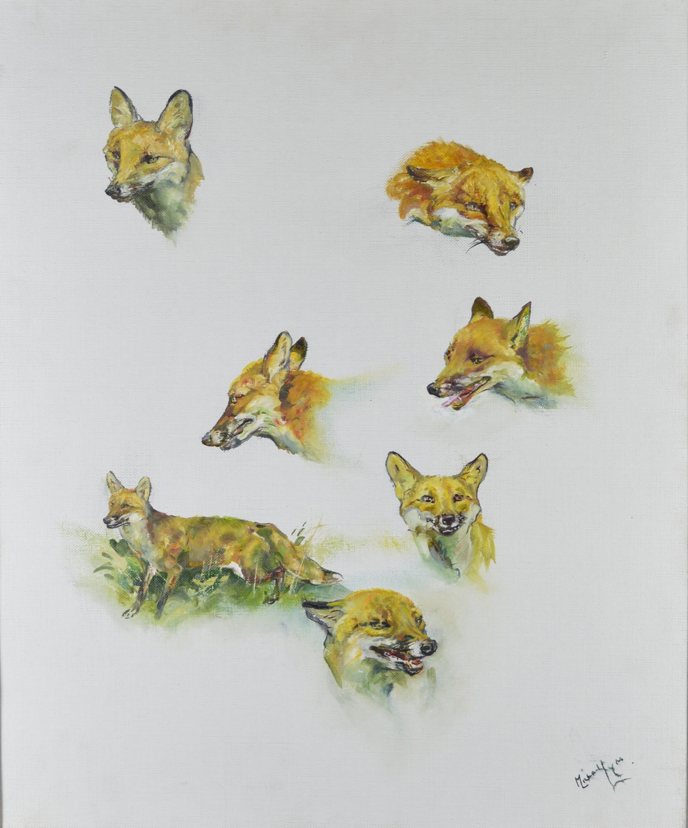 Michael Lyne, "Studies of Foxes"