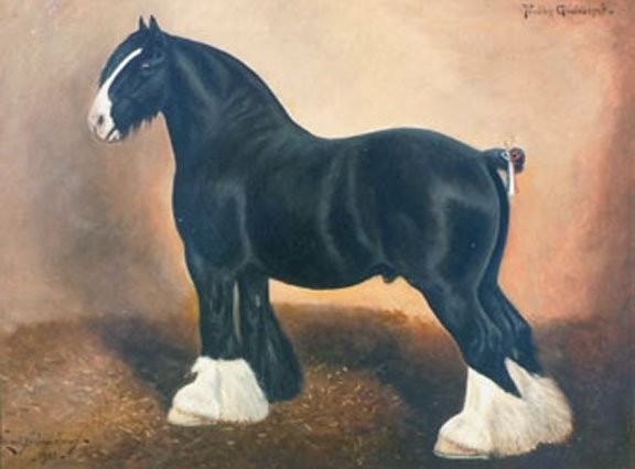 Champion Shire Stallion, "Pendley Goal Keeper" by Herbert St. John Jones SOLD