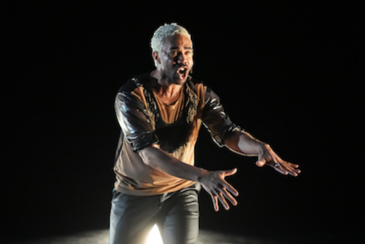 Kaatsbaan Cultural Park  presents A Sea in-MOTION 