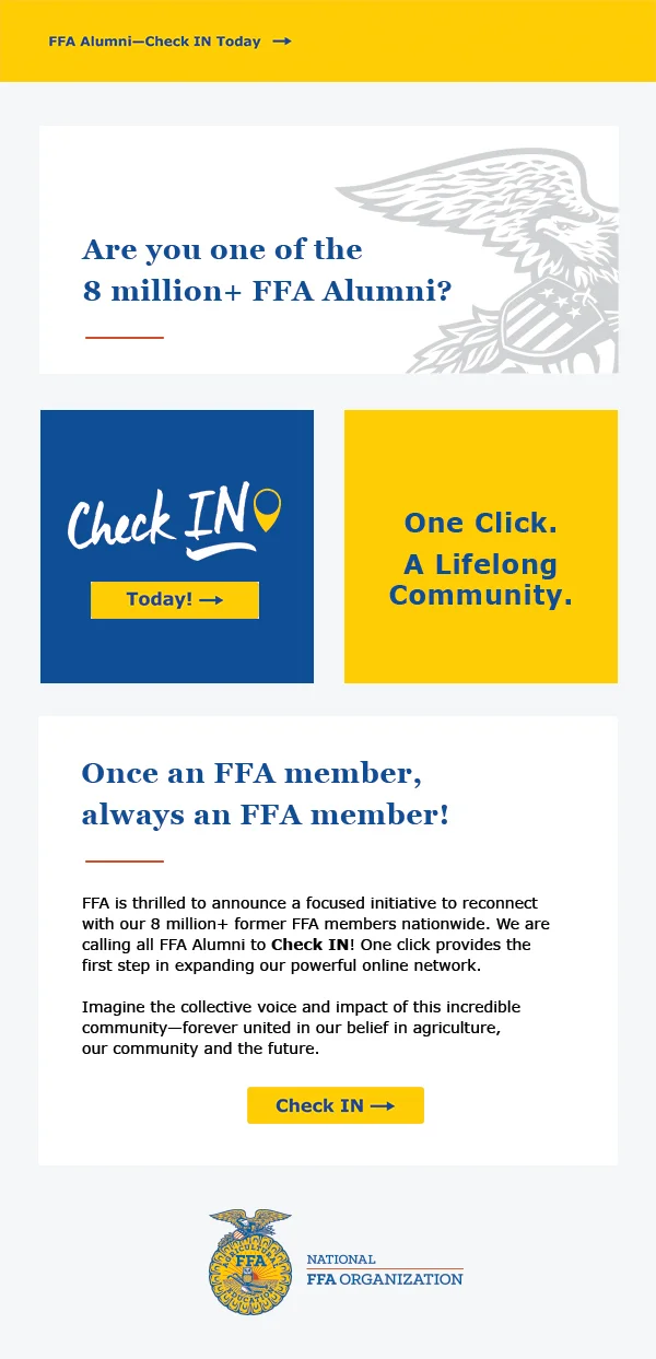 Email Design