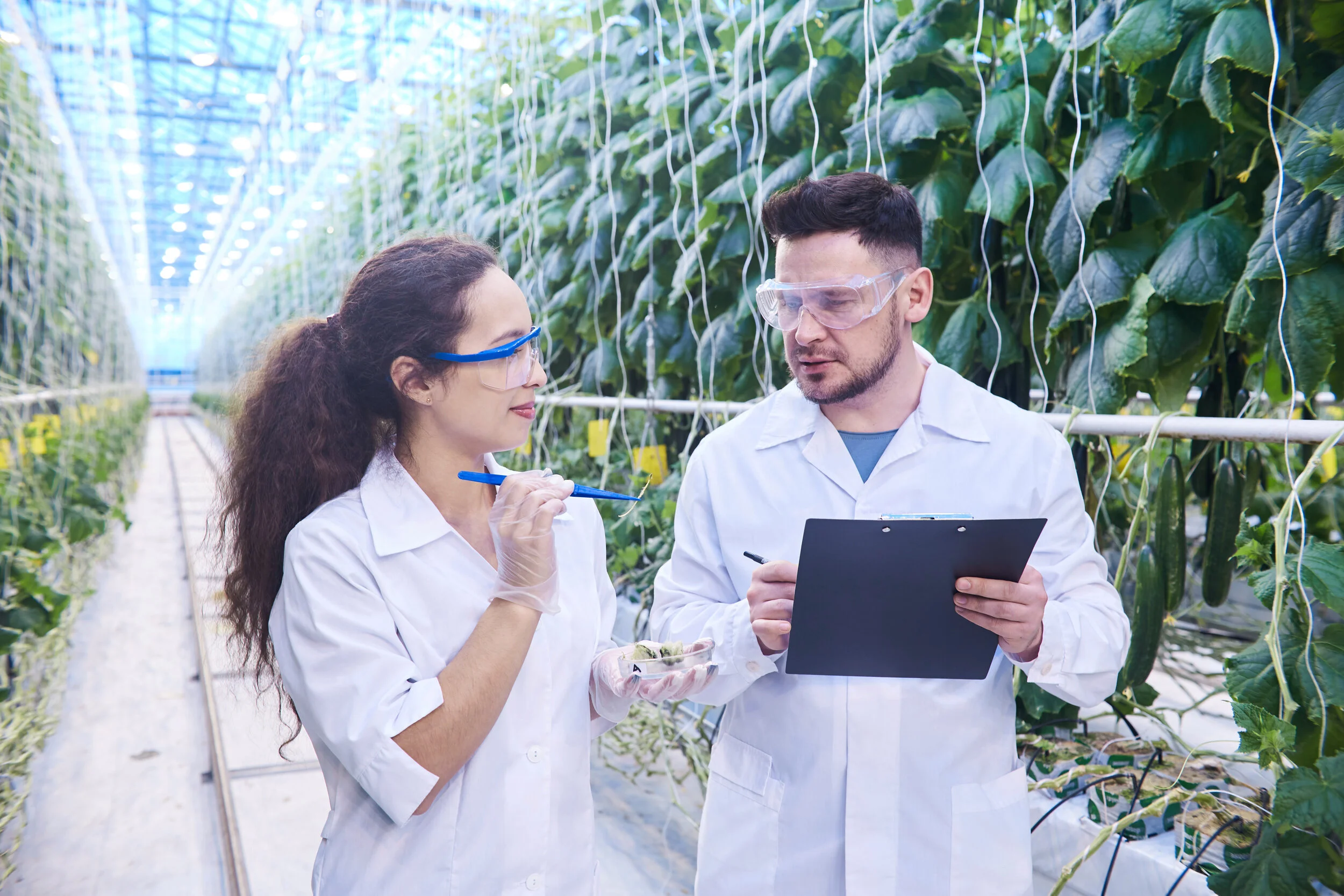 agricultural-engineers-in-plantation-EZ9W7HB.jpg