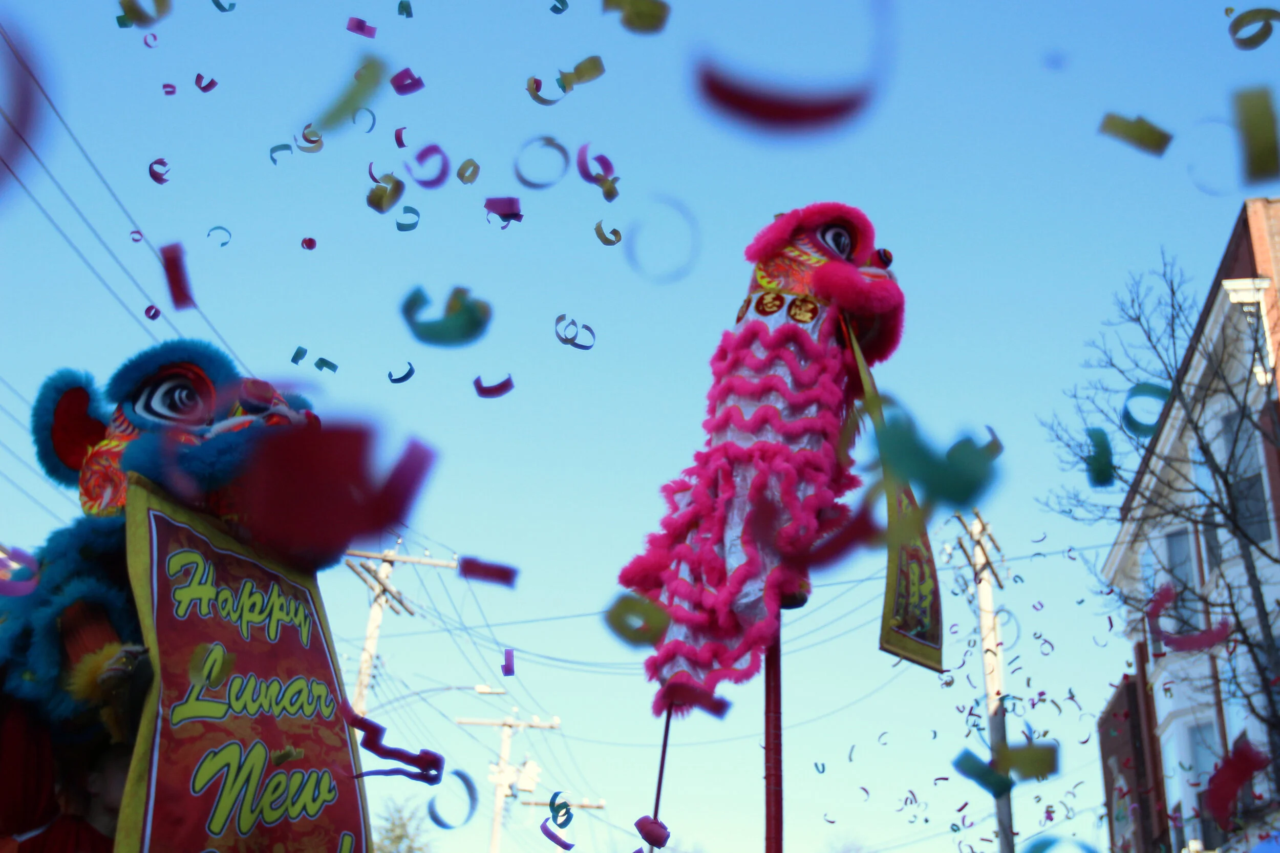 Yick Chong Lam IMG_8995.JPG