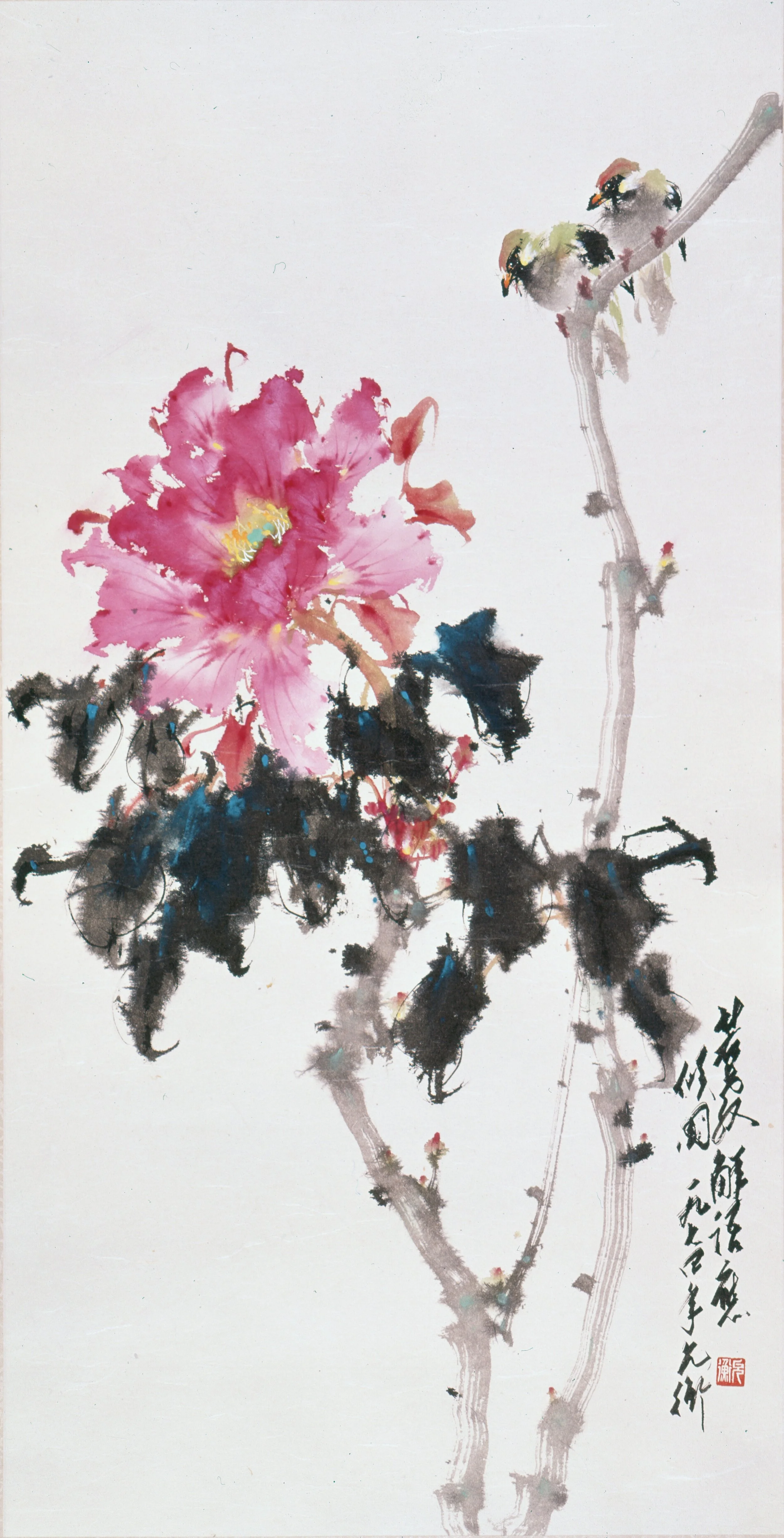 Tree Peony, Queen of All Flowers