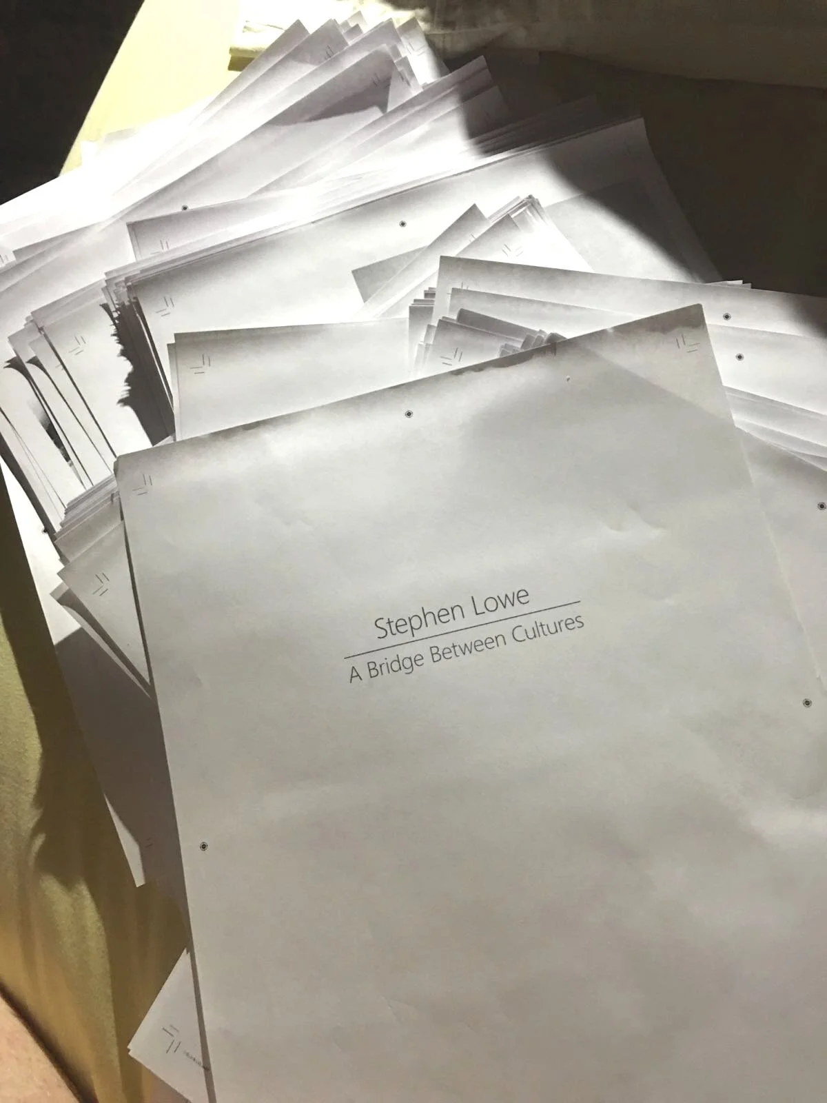  Manuscript copies of the second volume of Stephen’s art 