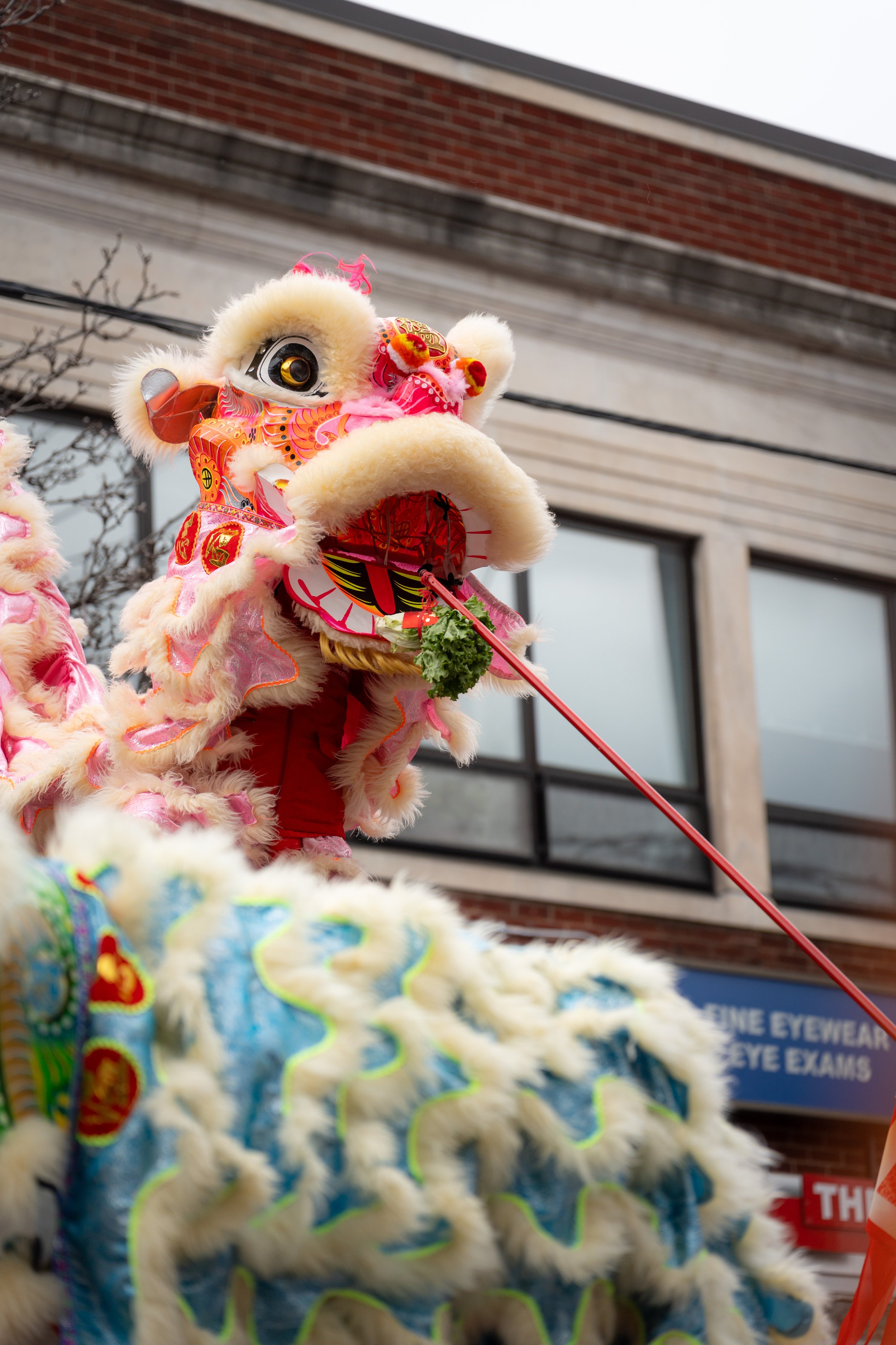 © Daniel Havlat Photo