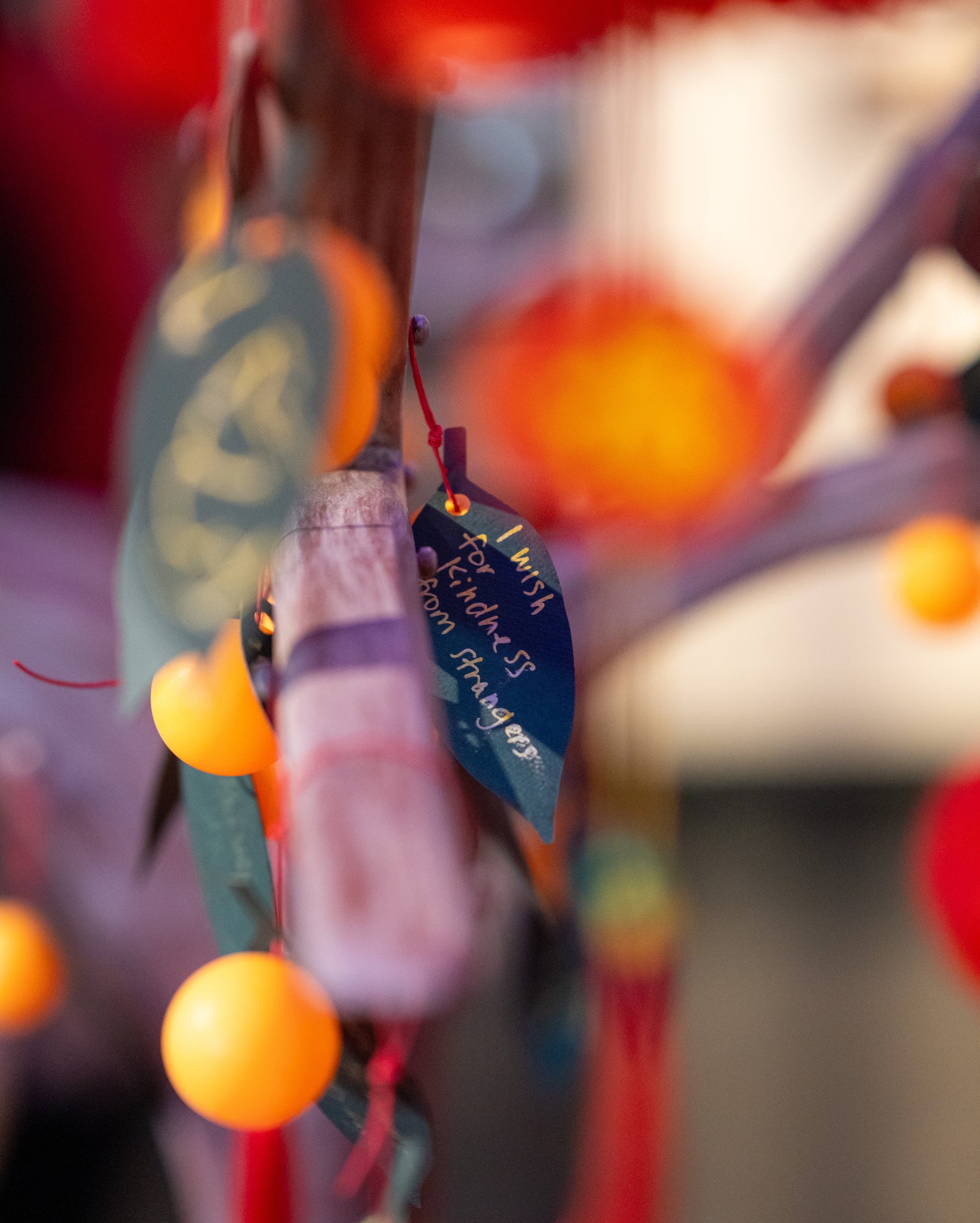 © Daniel Havlat Photo