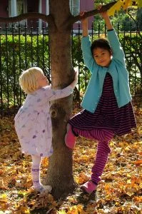 kids_tree.jpg