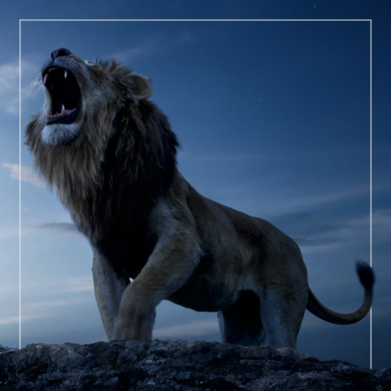 MF_Website_Thumbnail_The Lion King.png