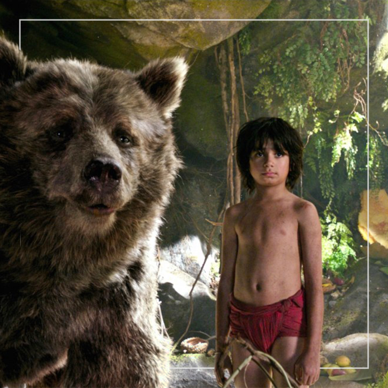 MF_Website_Thumbnail_Jungle_Book.png