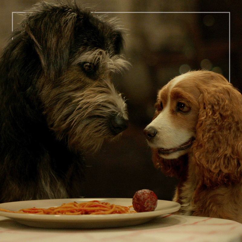 MF_Website_Thumbnail_LadyAndTheTramp.png