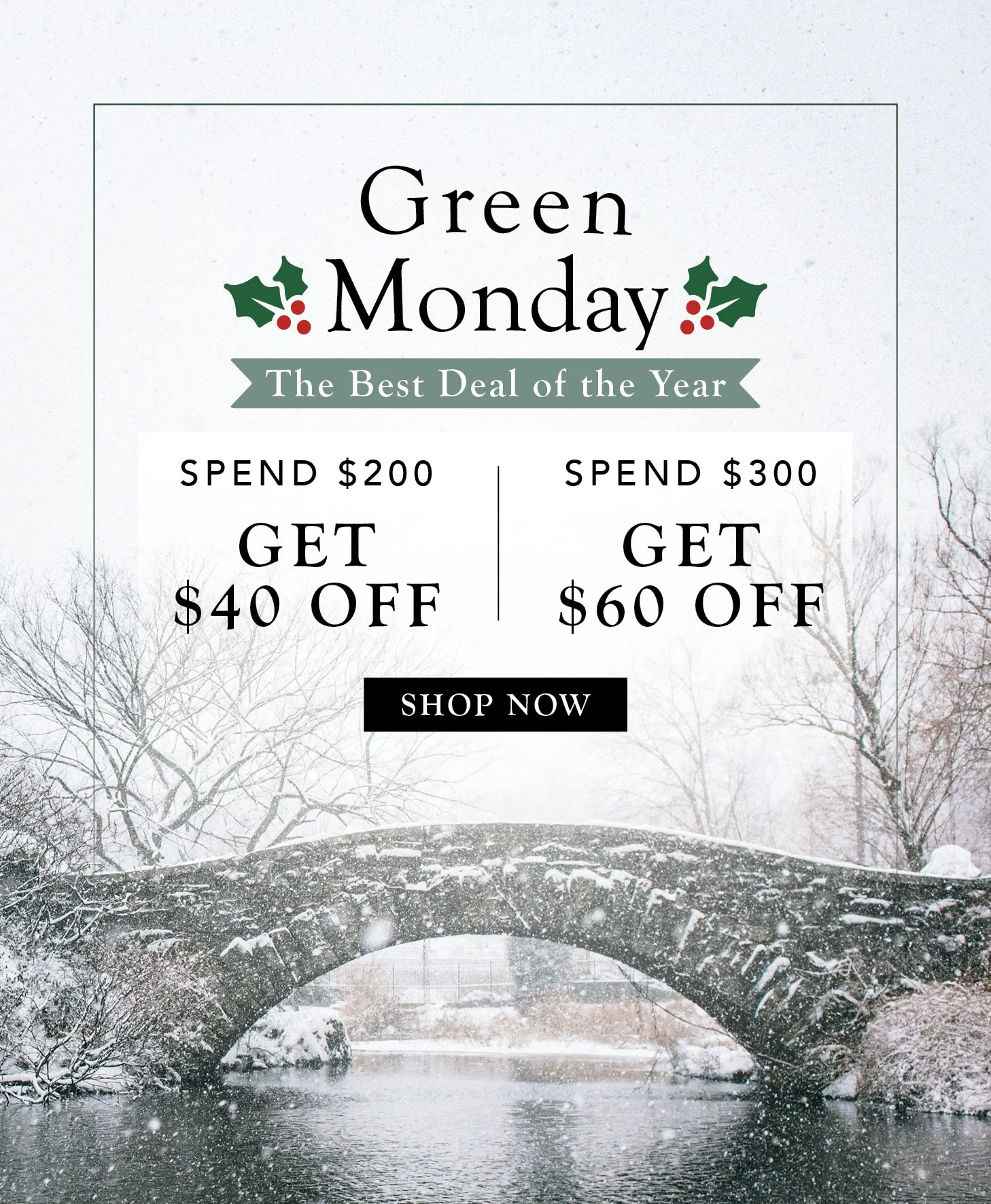12-08_Dec2025-Sale-GreenMonday-2.jpg