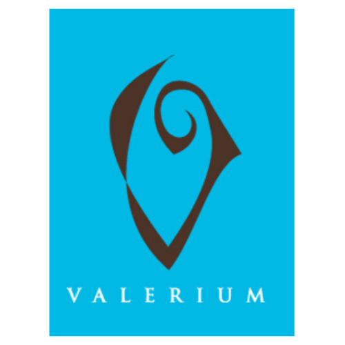 ss valerium logo.png