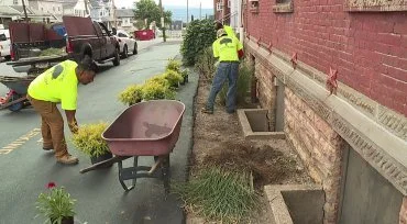 paramo-landscaping.jpeg