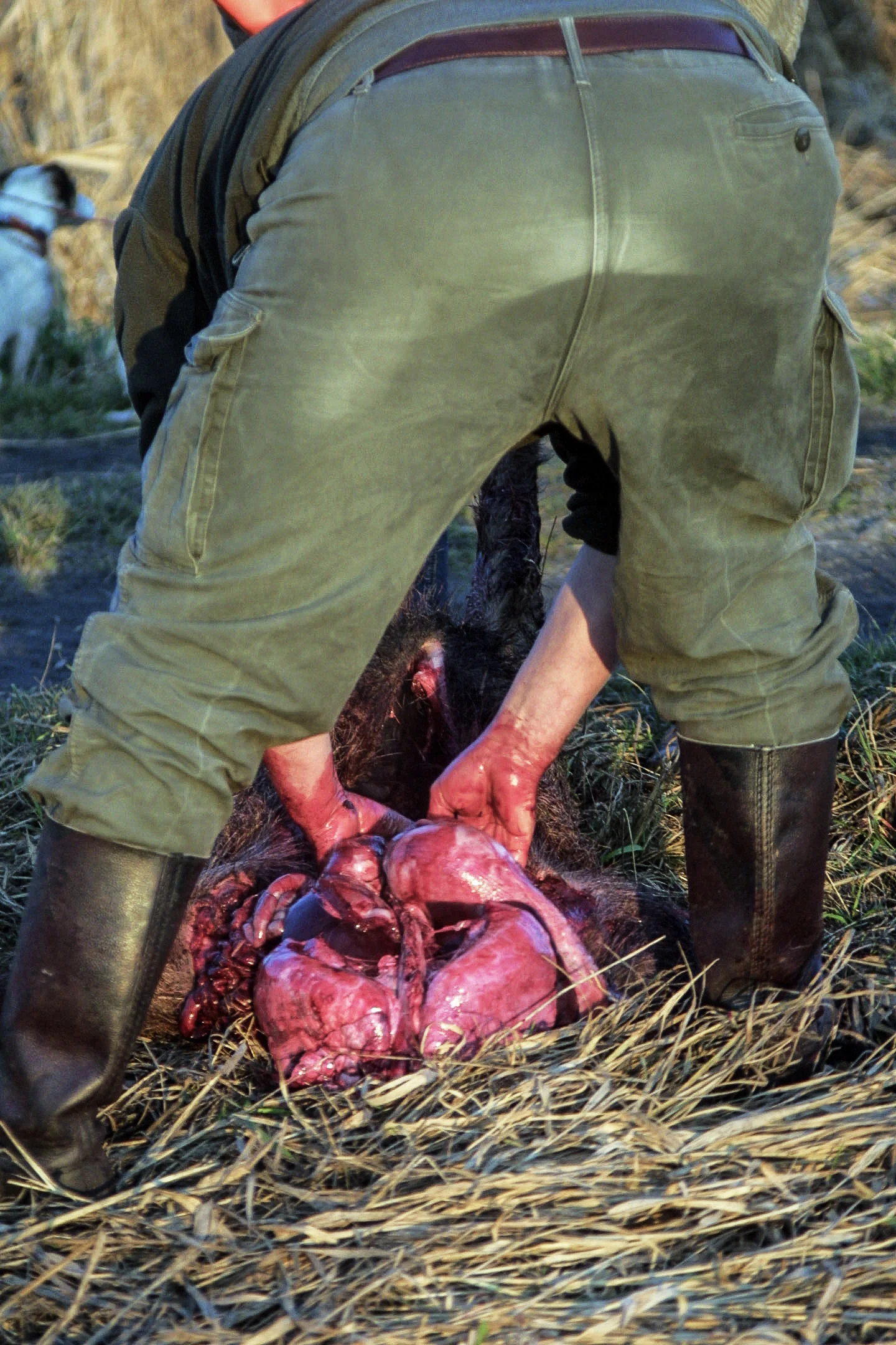 IMG_2139n (2017_12_11 19_26_09 UTC).jpg