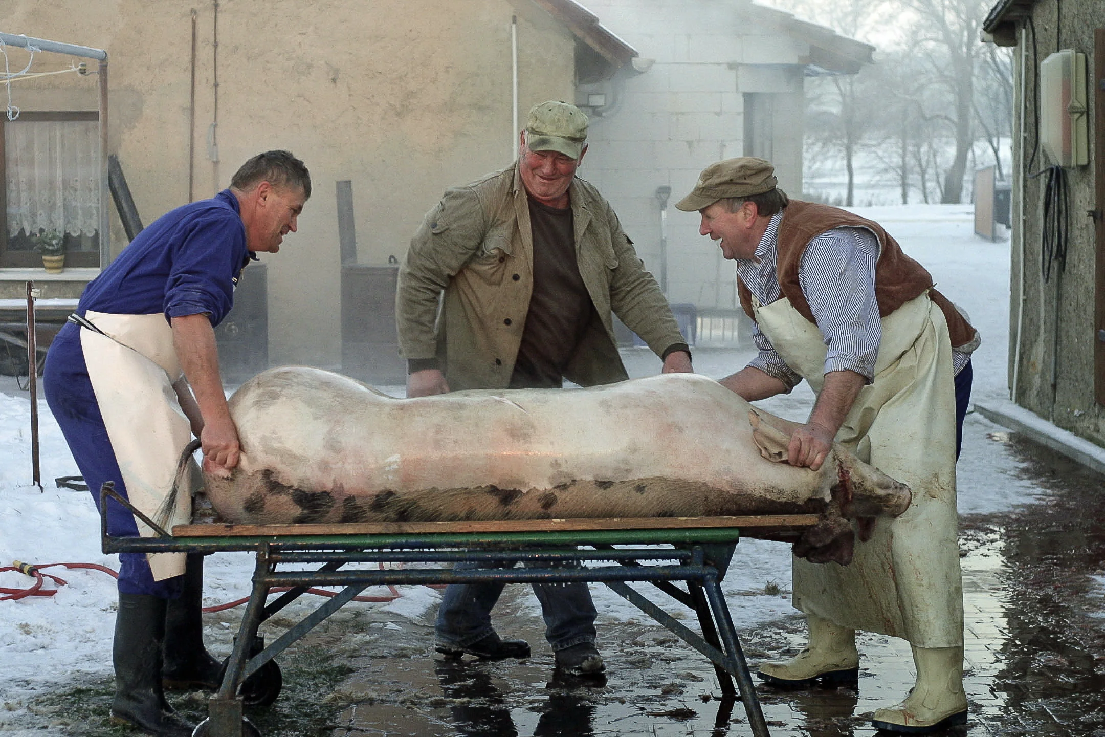 IMG_9506 (2)n (2017_12_11 19_26_09 UTC).jpg