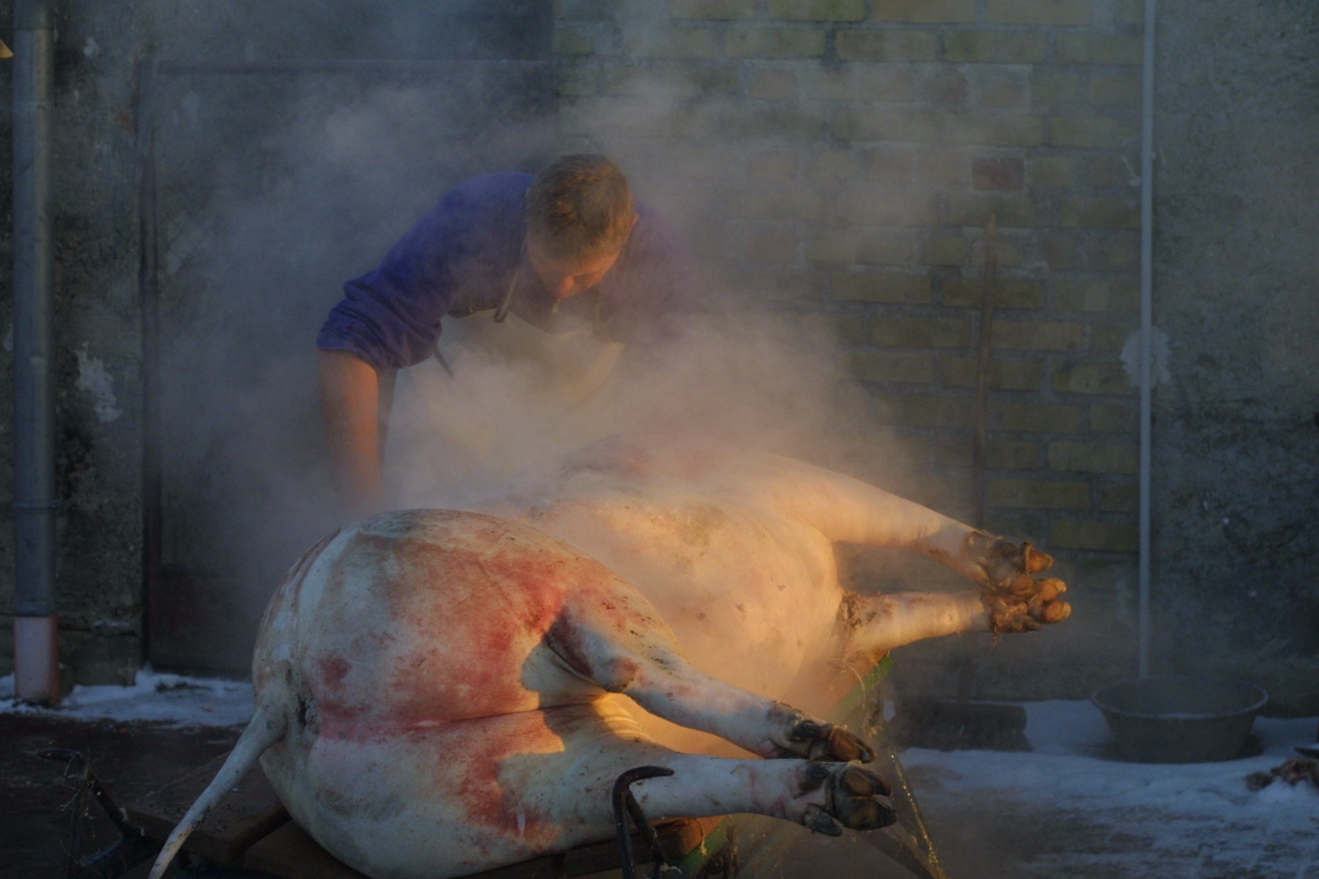 IMG_9593 (2017_12_11 19_26_09 UTC).jpg