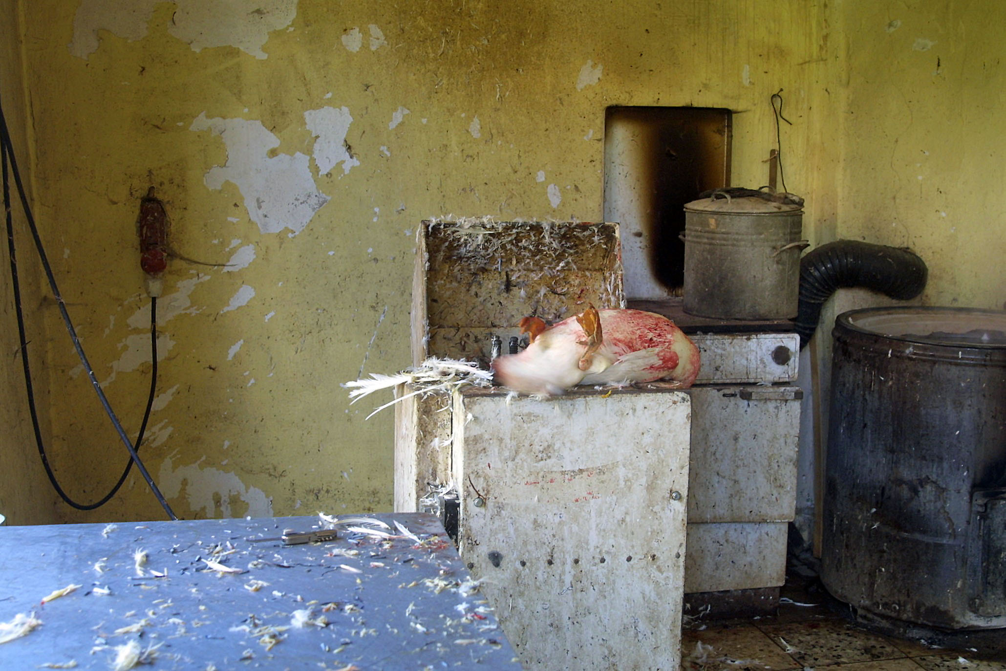 IMG_9675n (2017_12_11 19_26_09 UTC).jpg