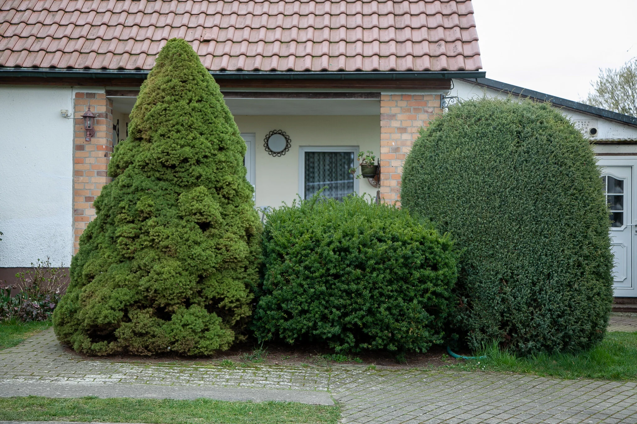 _MG_4427.jpg. DORF.jpg