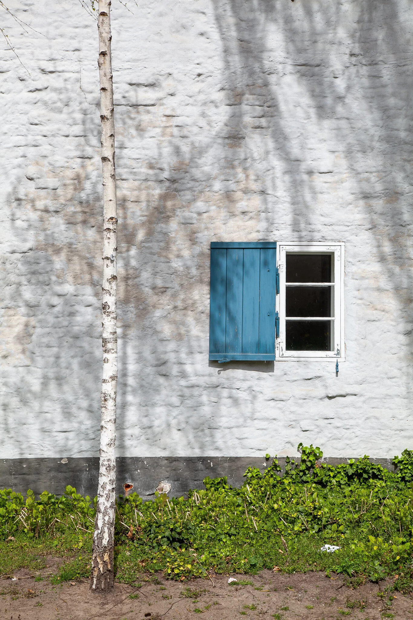 _MG_5185.jpg  DORF.jpg