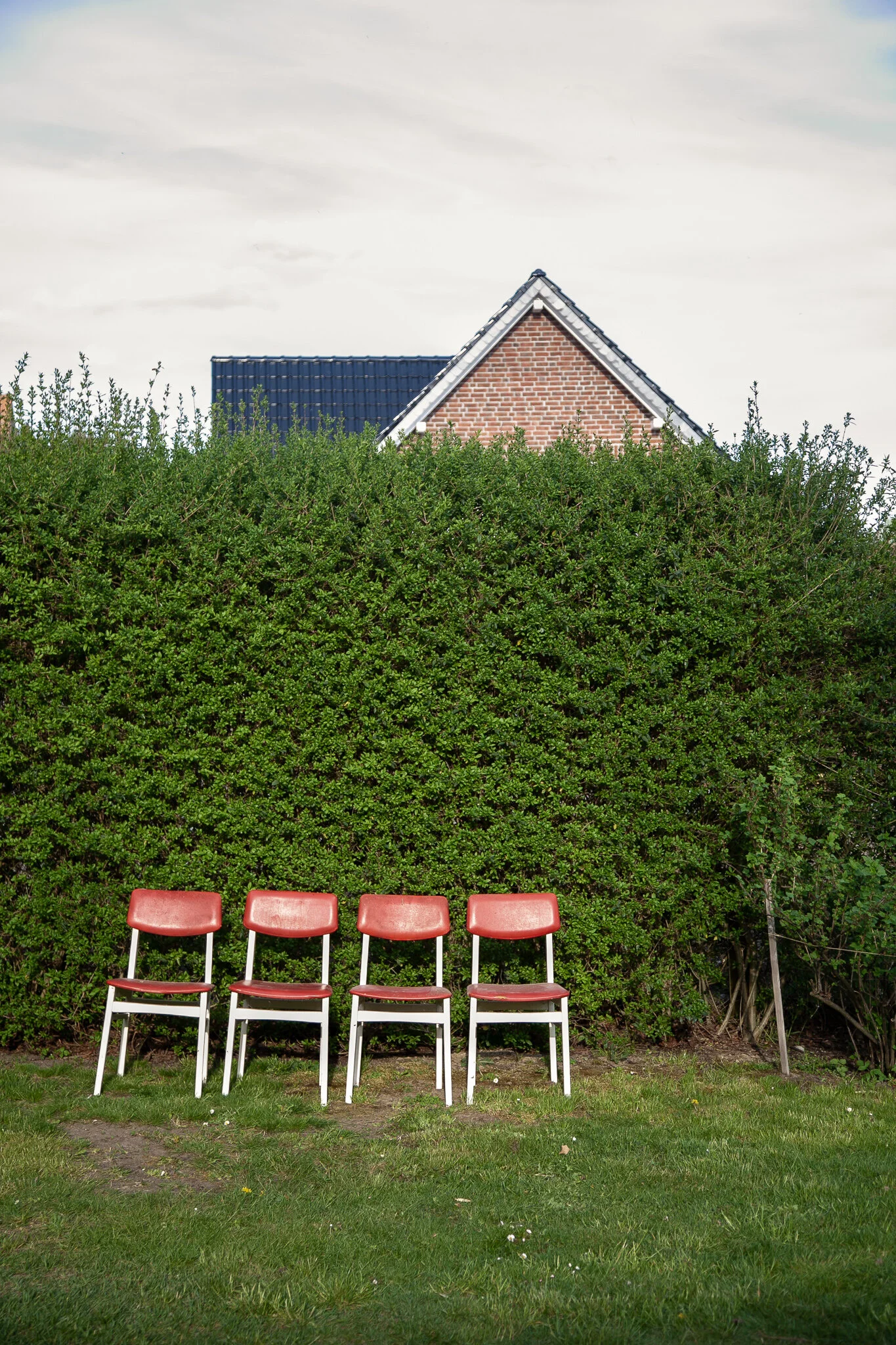 _MG_6072.jpg. DORF.jpg