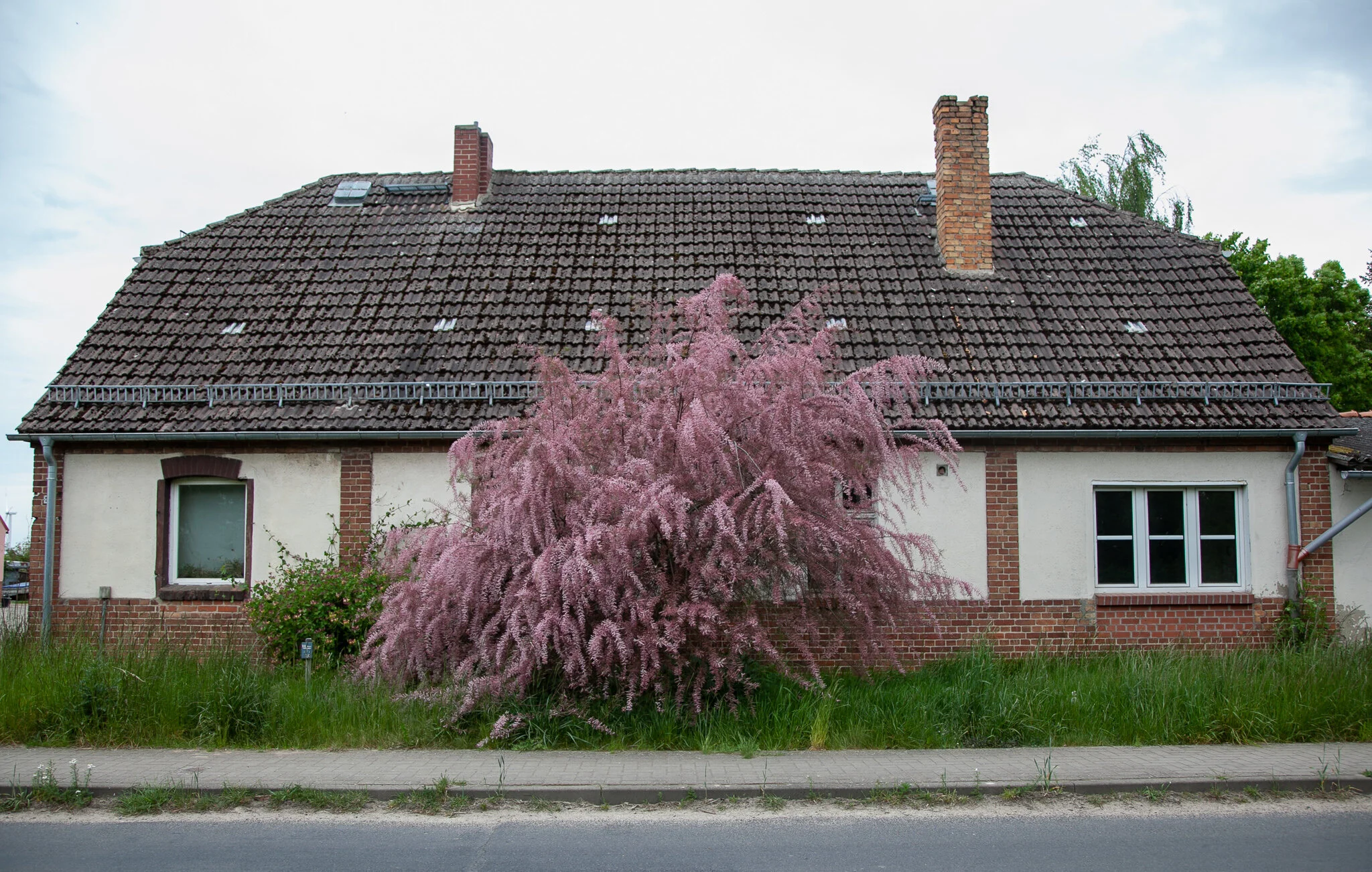 _MG_6117.jpg. DORF.jpg