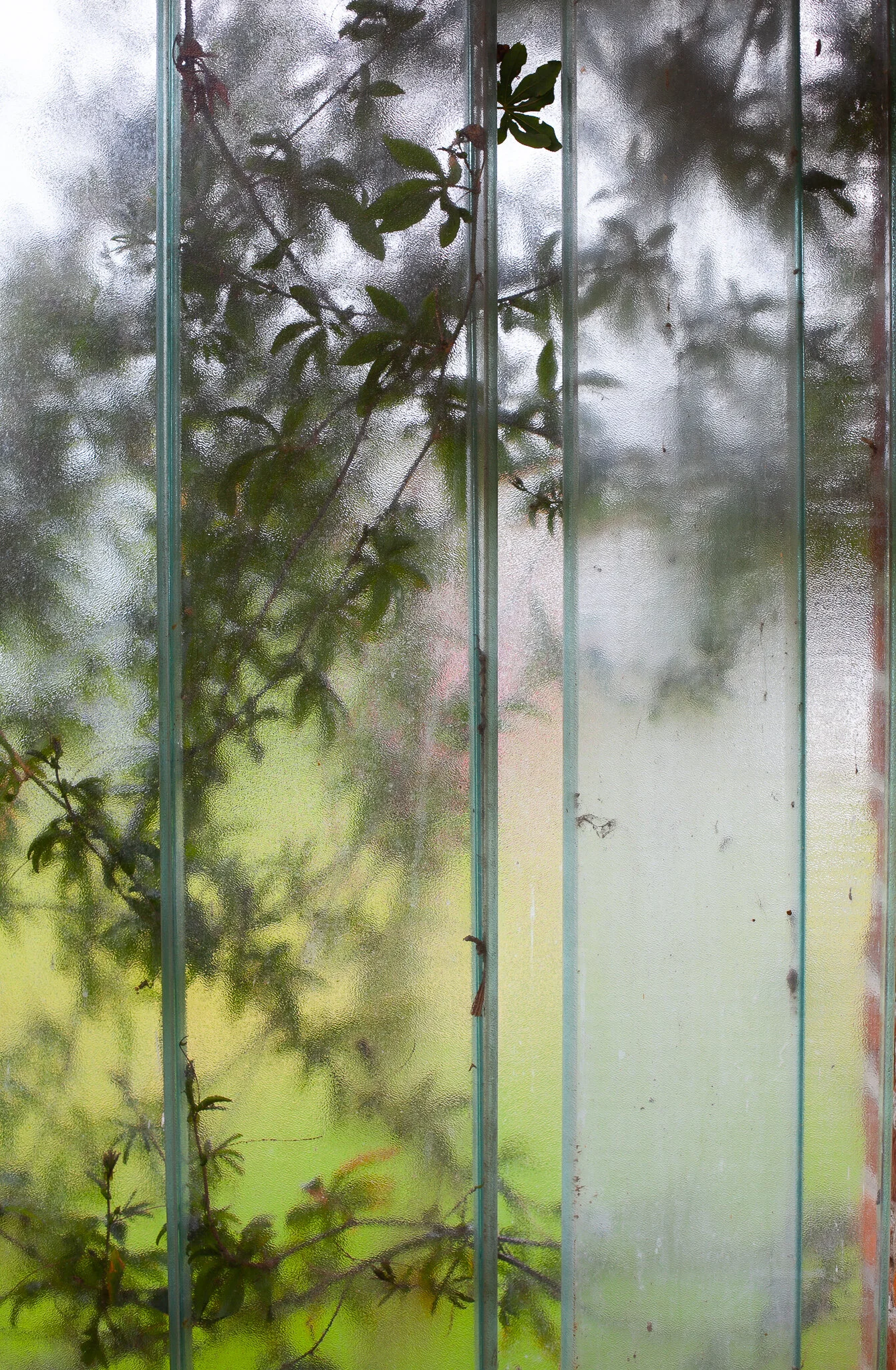 _MG_6139.jpg. DORF.jpg