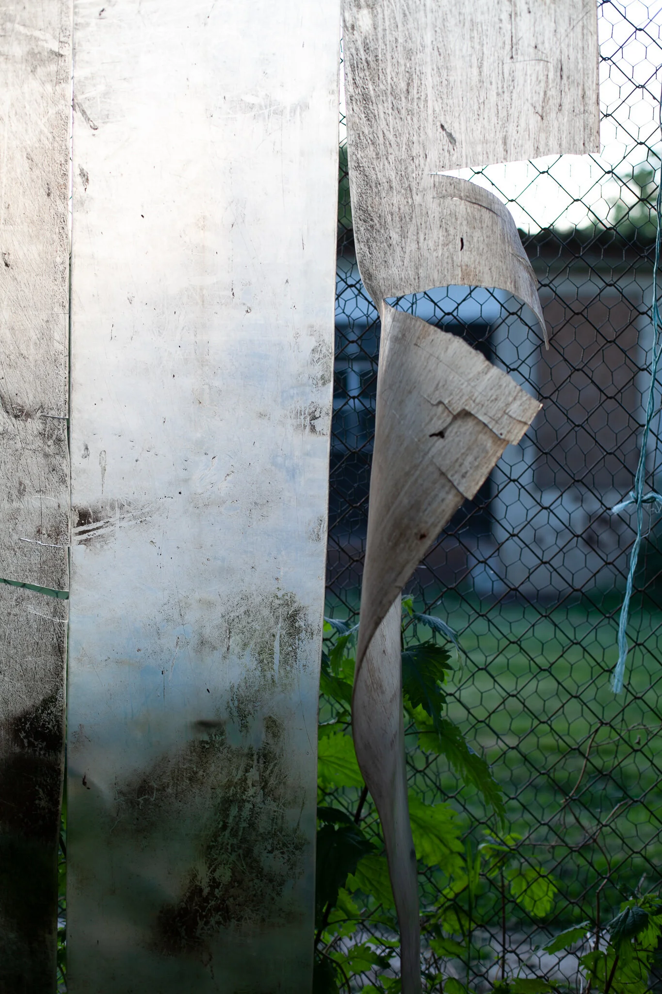 _MG_6237.jpg. DORF.jpg