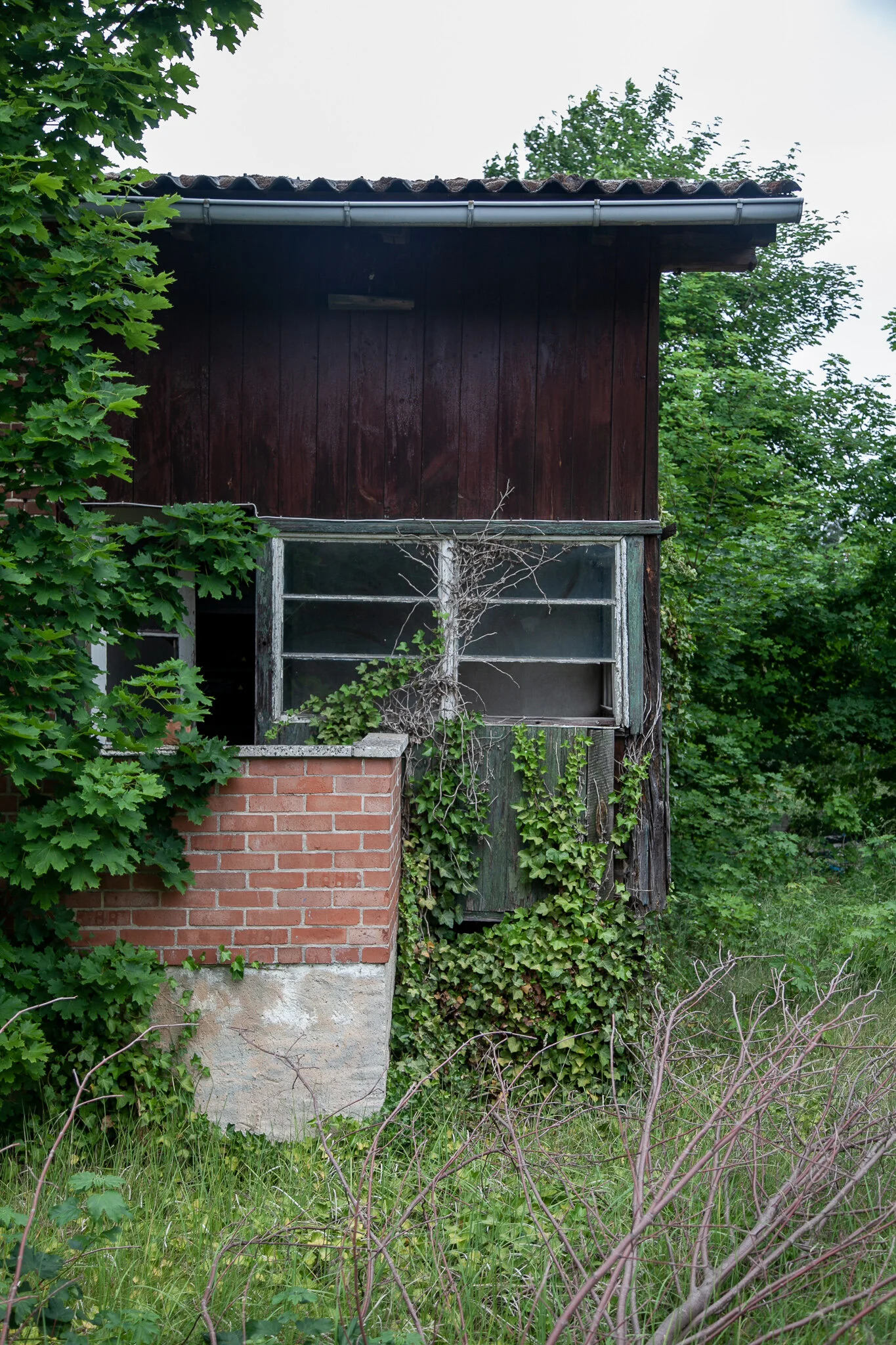 _MG_6906.jpg. DORF.jpg