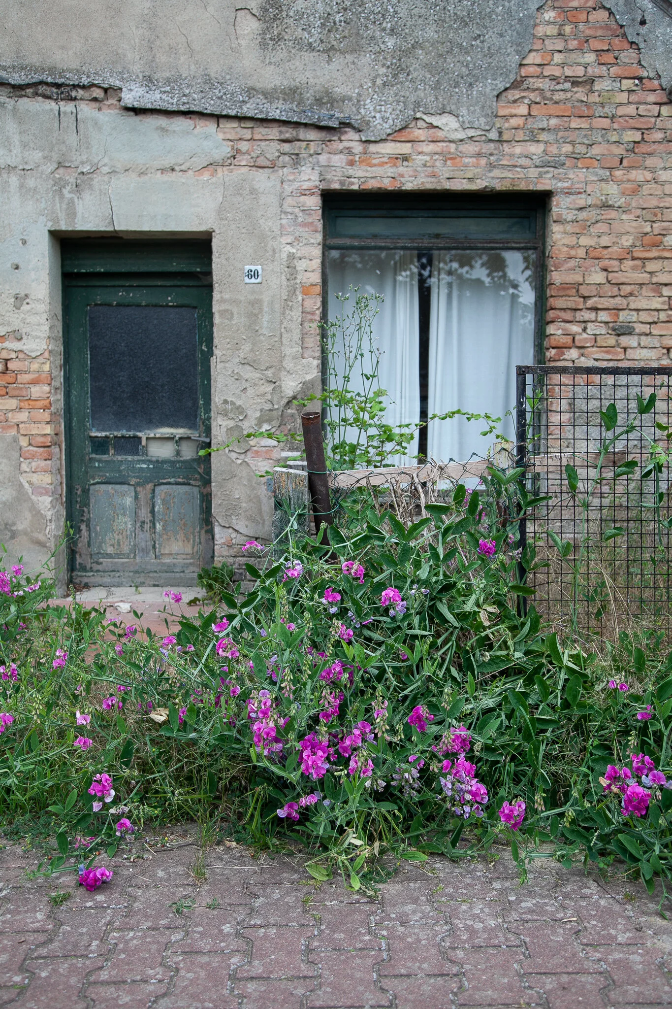 _MG_7133.jpg. DORF.jpg